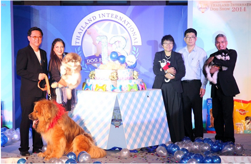 dog show 2014