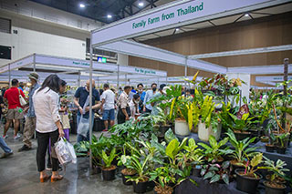 The opening ceremony of Bangkok International Exotic Plants Show and Sale 1